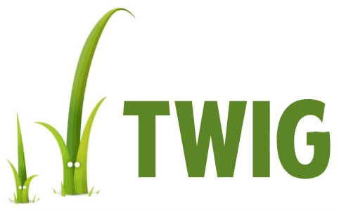 Twig icône de technologie